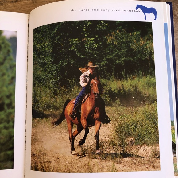 THE HORSE & PONY CARE HANDBOOK by Amanda Lang🏇🏇 - Picture 11 of 12